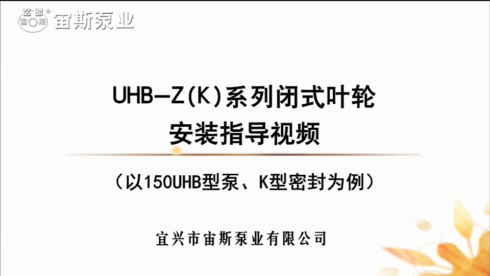 150UHB-ZK系列耐腐耐磨脫硫循環(huán)泵安裝指導(dǎo) 150UHB-ZK系列耐腐耐磨脫硫循環(huán)泵安裝指導(dǎo)